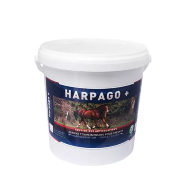 HARPAGO + 4,5 KG