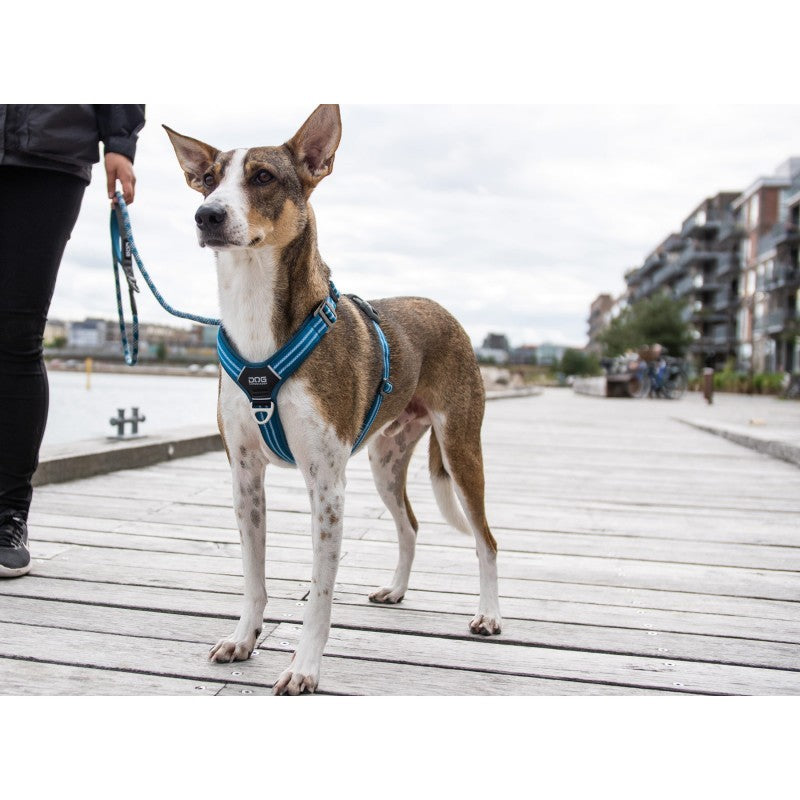Dog Copenhagen Harnais confort Walk Air 1Taille: S 1Couleur: Bleu