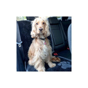 TAPIS PROTECT°SIEGE VOITURE