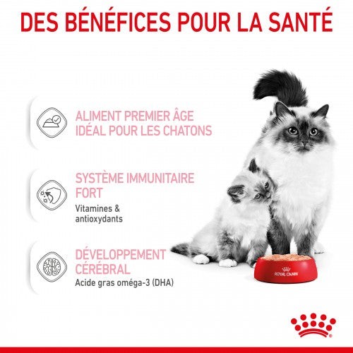 Royal Canin Mother & Babycat