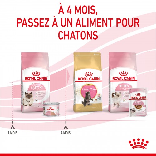 Royal Canin Mother & Babycat
