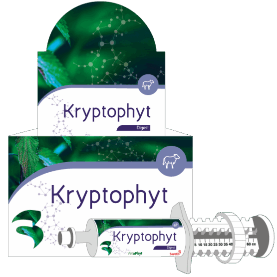 KRYPTOPHYT 12 SER. 60 ML