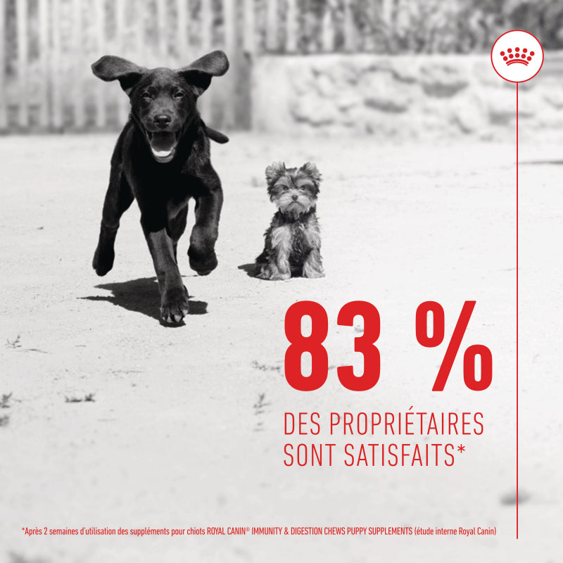 Aliment Complémentaire Puppy Immunity & Digestion Chews pour chiot