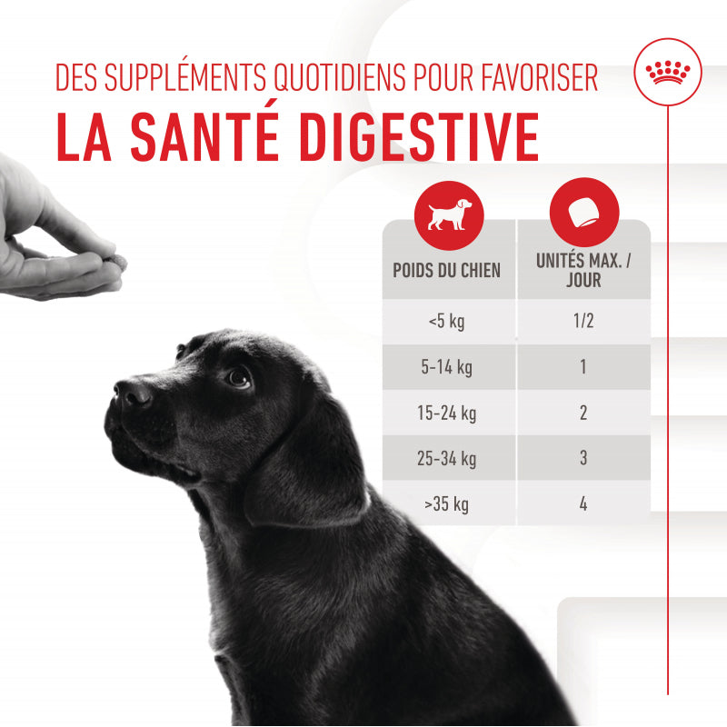Aliment Complémentaire Puppy Immunity & Digestion Chews pour chiot