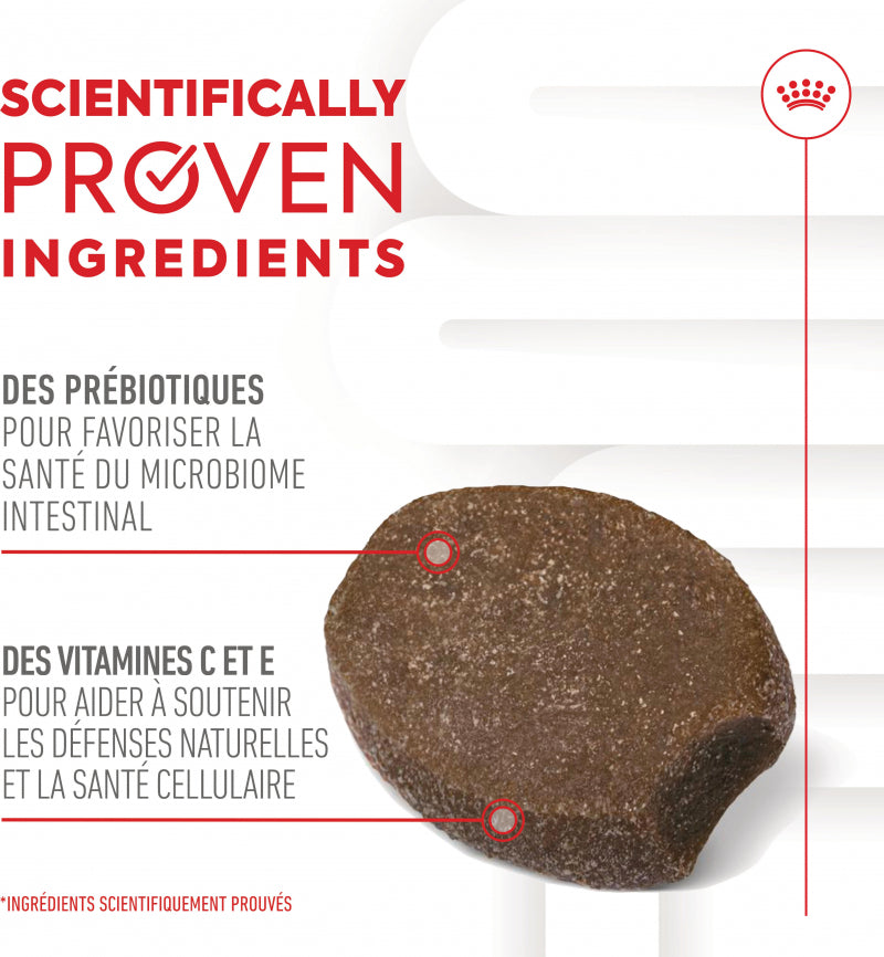 Aliment Complémentaire Puppy Immunity & Digestion Chews pour chiot