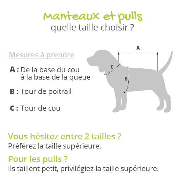 Pull Kenton Noir pour chien
