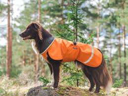 Pomppa Toppa manteau impermeable doublé pour petit chien