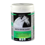 EQUISTRO MEGABASE JUNIOR 1 L+SER.