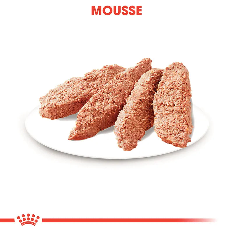 Royal Canin - Chien - Urinary Care - Mousse - Sachets 12 x 85 g