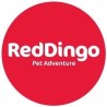 RedDingo