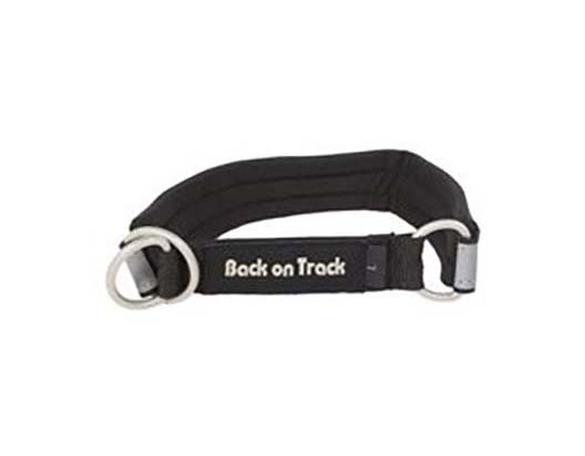 Back On Track Collier pour chien