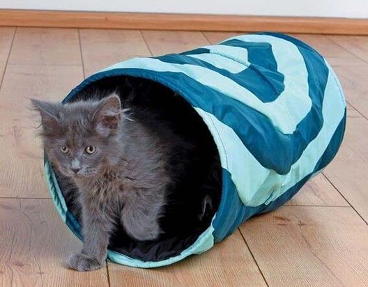 Tunnel de jeu pour chat