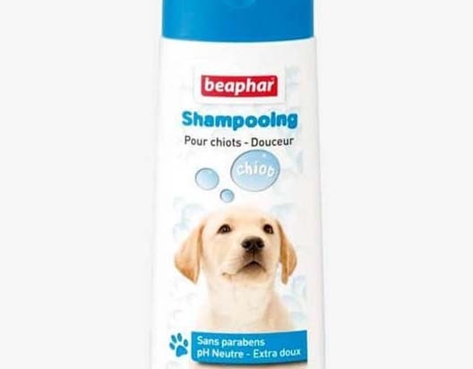Shampoing pour chiot extra doux