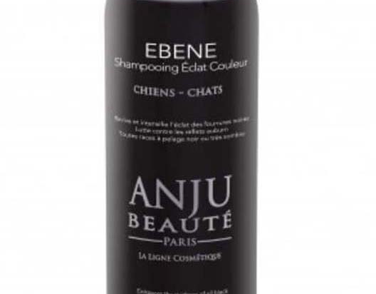 Anju Beaute shampooing éclat couleur ébène