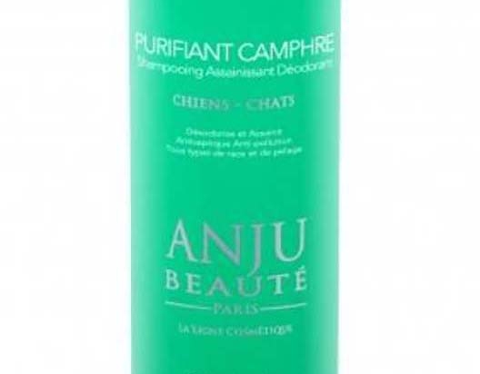 Anju Beaute shampooing purifiant au camphre