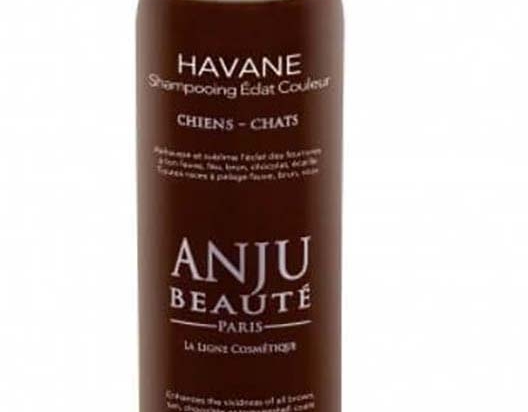 Anju Beaute shampooing Havane