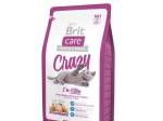 Brit Care Crazy I'm kitten