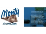 Brit Care Monty I M Living Indoor croquette pour chat d'intérieur