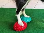 FitPaws Paw Pods Antiderapants