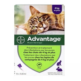 Advantage - Pipettes antiparasitaires pour chat