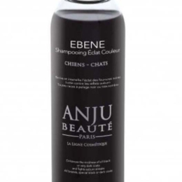 Anju Beaute shampooing éclat couleur ébène