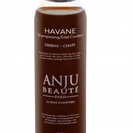 Anju Beaute shampooing Havane