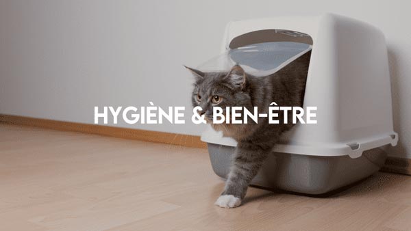 Hygiène & bien-être chat