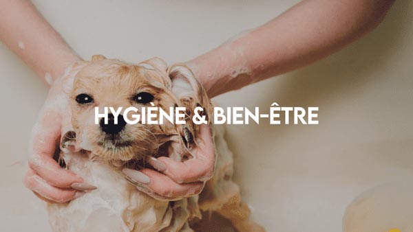 hygiène-bien_être