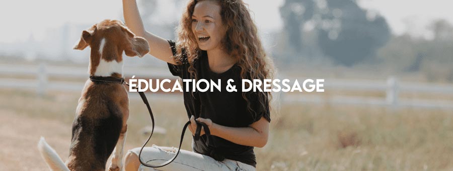 education_et_dressage